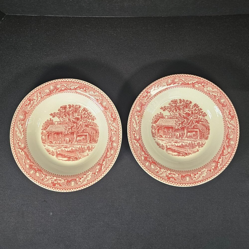 2 Royal Ironstone Memory Lane Red/Pink Soup/Cereal/Pasta Bowls 8 3/8" Circa 1965